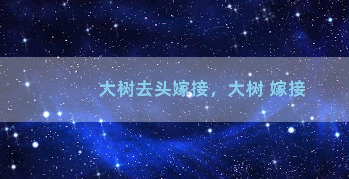 大树去头嫁接，大树 嫁接